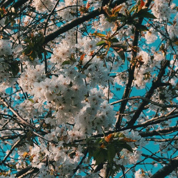 Meet your Posher, Meme - Picture 1 of 1